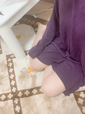 出勤しました!