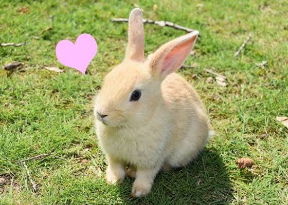 こんにちは