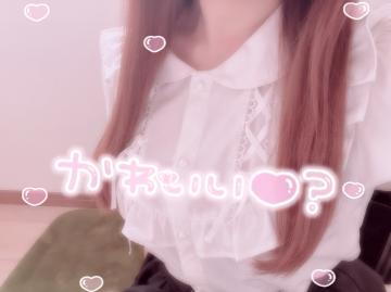 今日のお洋服??
