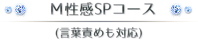 M性感SPコース(言葉責めも対応)